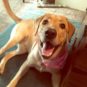 Meet your Posher, Amanda